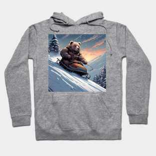 Teddy on a sledge riding down a hill in the snow Hoodie